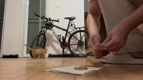She was so desperate for food🤣