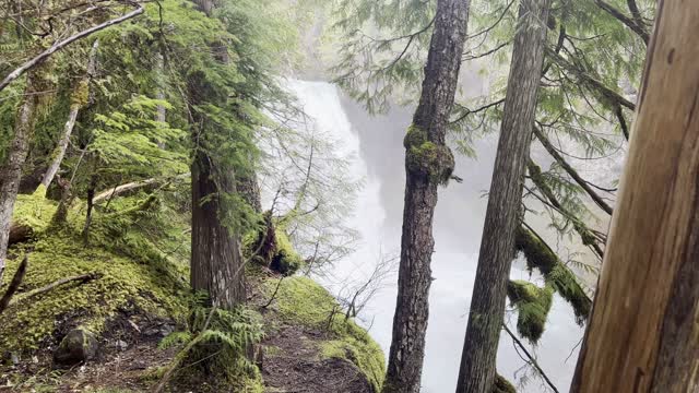 View of Koosah Falls From OPPOSITE Side of River – Sahalie Falls & Koosah Falls Loop – 4K