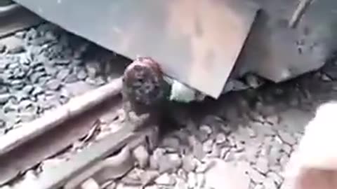 I hate it when this happens! Indian man gets head jammed between Train & Track!!