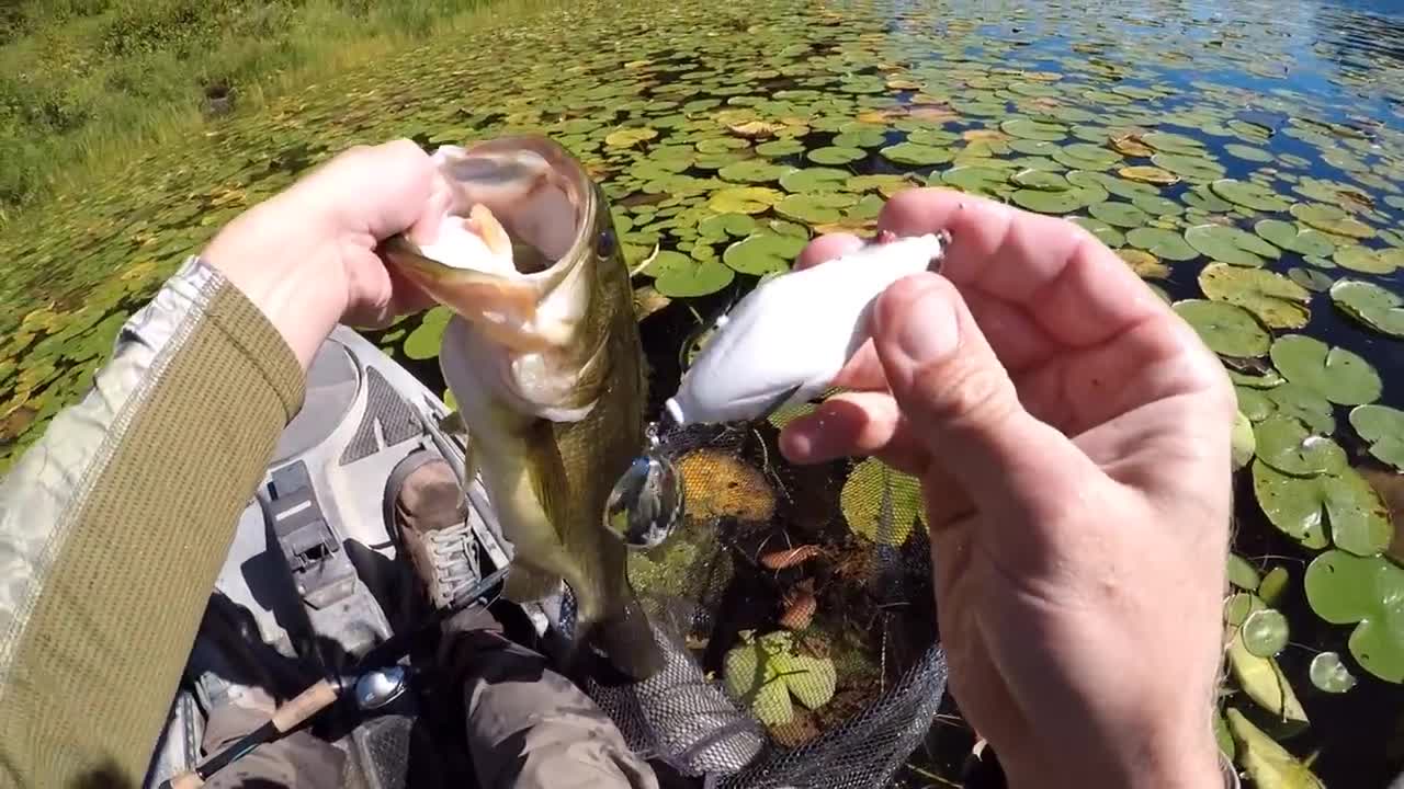 A Relaxing Day Of Frog Bassin'-8