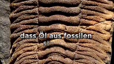 Ist Öl wirklich ein fossiler Brennstoff?