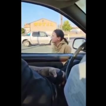 NSFW (language) video, Trooper distracted by subject who objects to his traffic stop.
