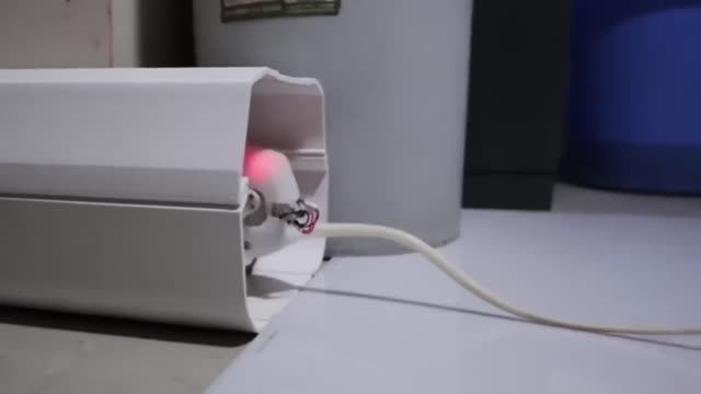 AMAZING ROBOT ANIMALS THAT YOU SHOULD SEE