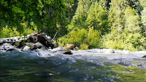 Relaxing Music | Sleeping, Meditation, Stress Relief | [6503] ⭐️