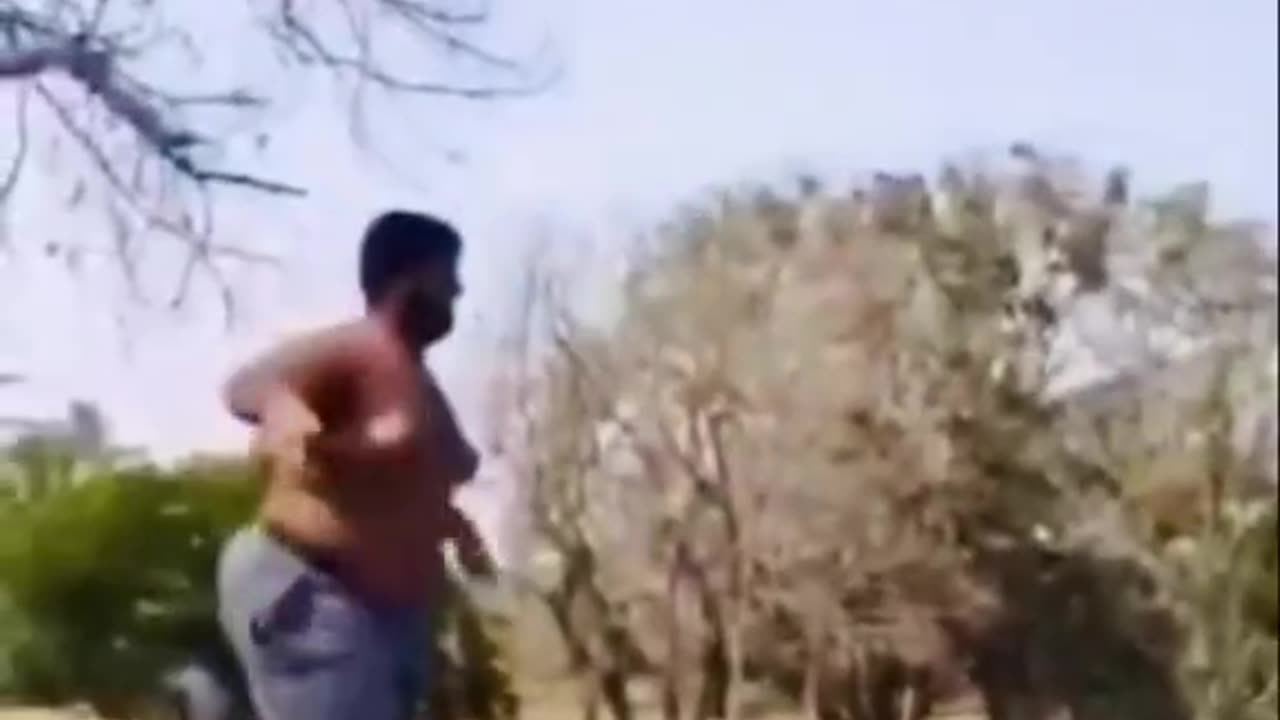 Funny videos