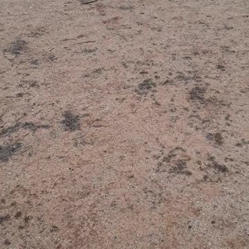 Fairfield Nat'l Cem, Albuquerque, NM, messages on the tombstones 1/15/23