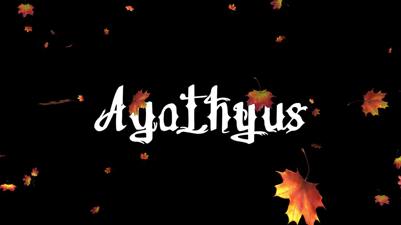 Agathyus - Erős hullámzás (dalszöveges audió)
