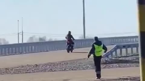 Adorable Friendship Between Dalmatian And Postman