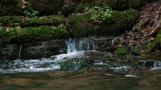 River rocks and moss