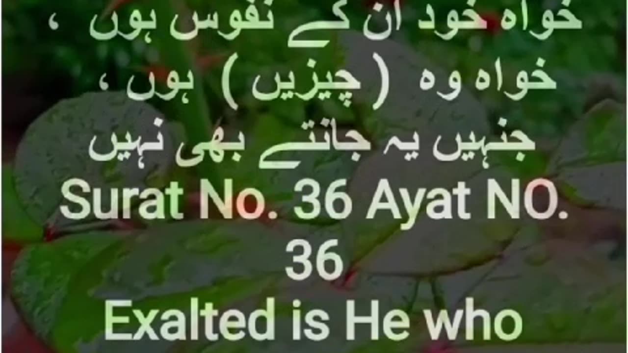 Surah Yasin