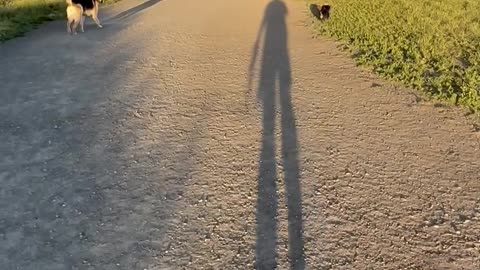 Delivered from an Empty Way of Life