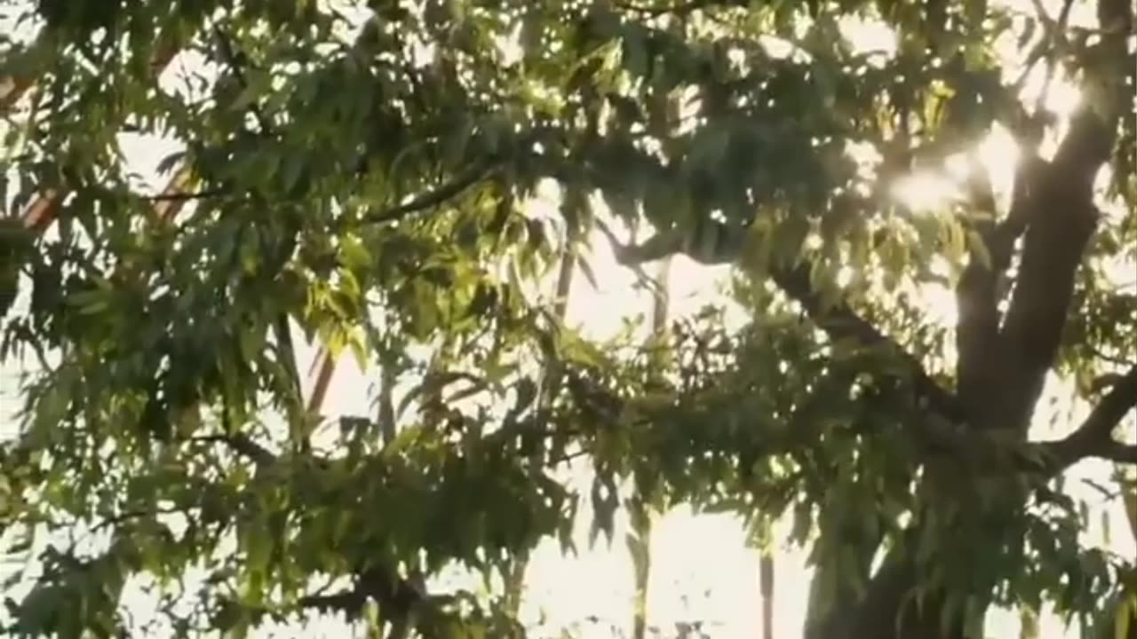 Pertanian Itu Indah