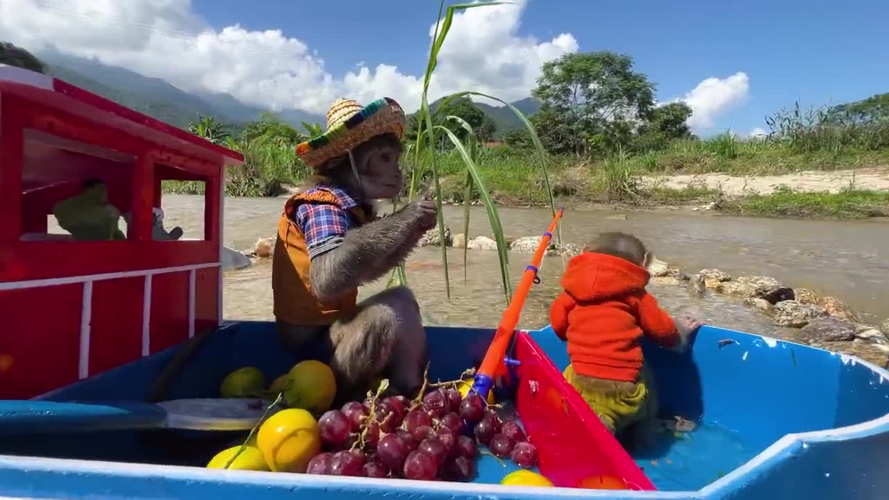 Monkey Baby Bim Bim and Obi go fishing on the boat and meet SHARK-20