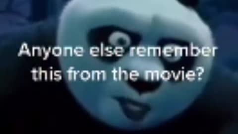 kung fu panda