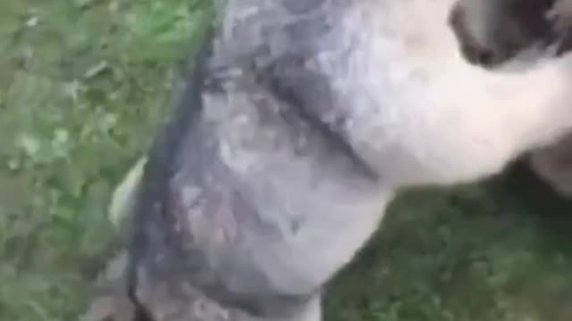 Wait till the end 😂