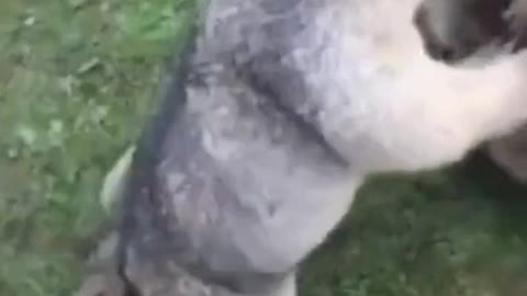 Wait till the end 😂