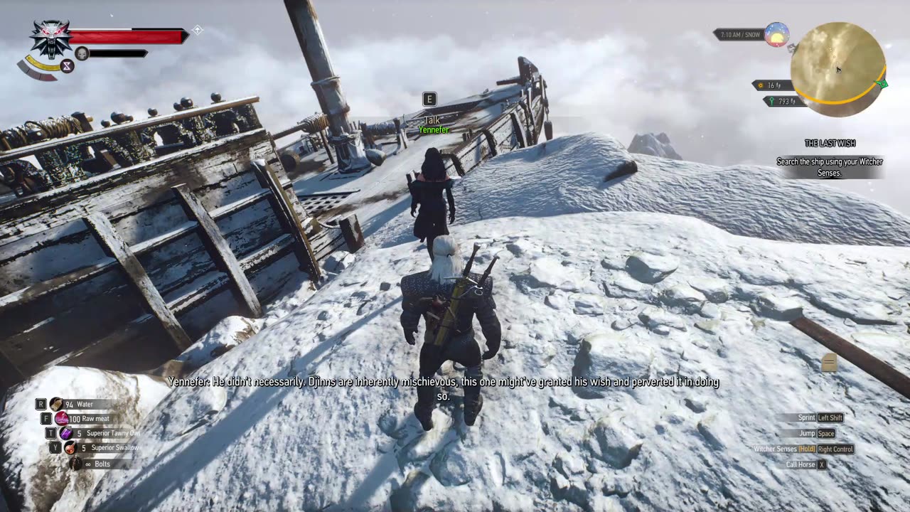 The Witcher 3 last wish part 2