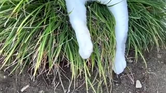 Iām sorry for disturbing your sleep. šš¤š