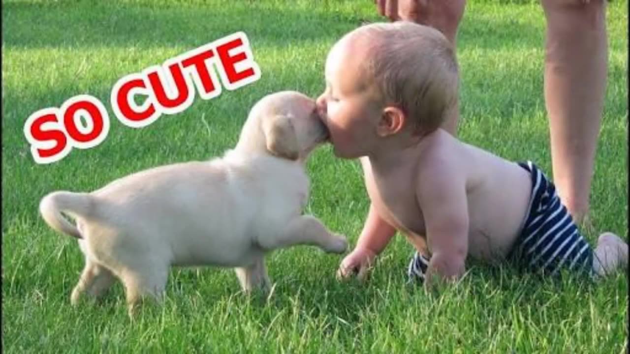 Babies + dogs, best fiends very funny video