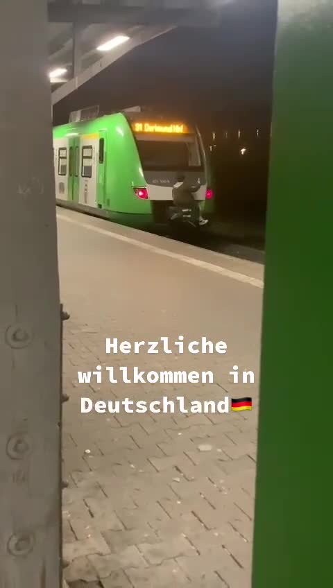 Migration in Deutschland