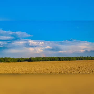 One Spring Day In Pictures