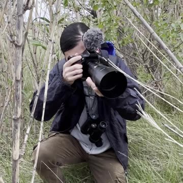Wildlife photography, 🎥 😍 Lovely Squirrels 🐿️