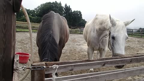 2021-8-22 turn out-3