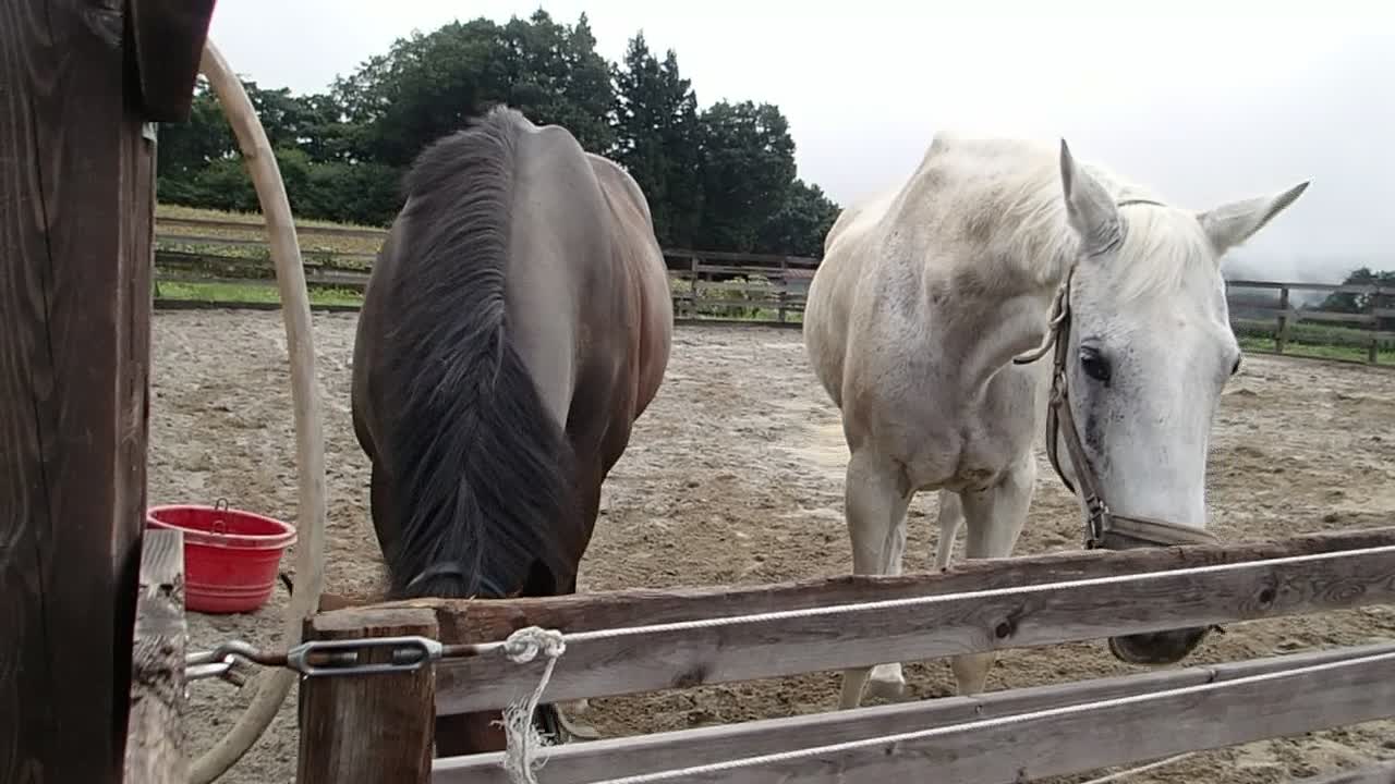 2021-8-22 turn out-3