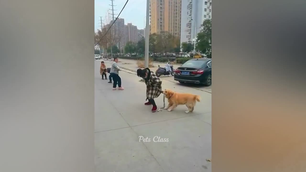 funniest animals 2023