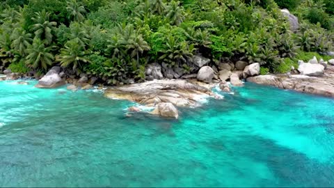 Relaxing Music | Sleeping, Meditation, Stress Relief | [6120] ⭐️