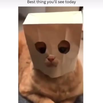 Mama said there’ll be days like this…