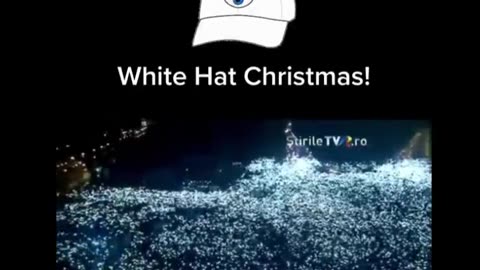 White Hat Christmas❣️ 🕊️💙