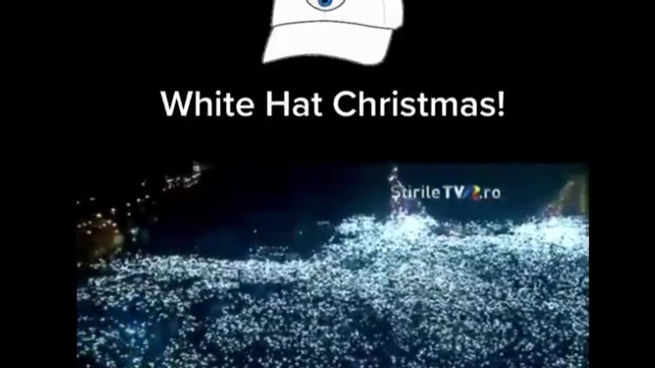 White Hat Christmas❣️ 🕊️💙