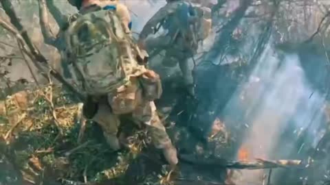 👀 Cleaning Russian positions near the village of Novopokrovka, Zaporizhzhia region