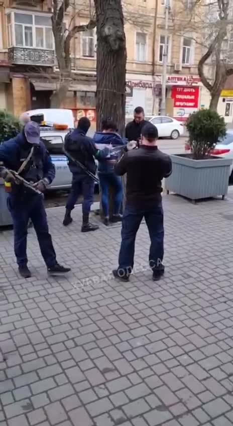 Ukraine: armed militants tie petite woman to tree