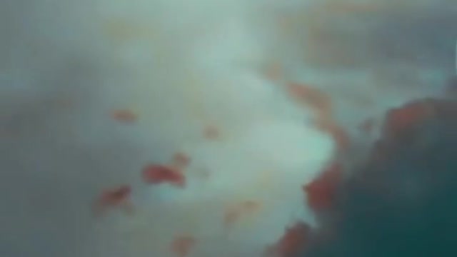 Past Time to wake up Frens