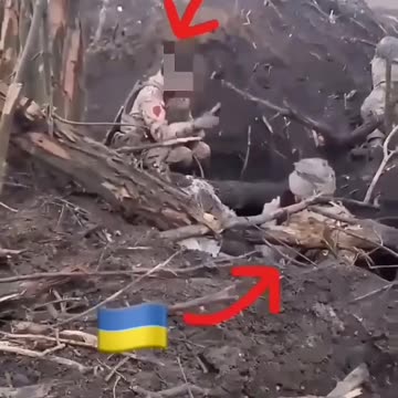 #WestRussiaWar in #Ukraine A Russian soldier tells the captured Ukrainian soldier not to be afraid.