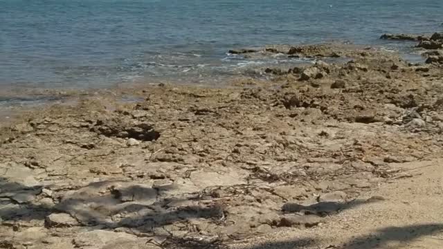 Mare Su Pallosu 20/08/2021
