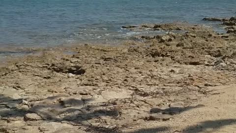 Mare Su Pallosu 20/08/2021