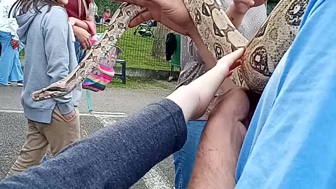 Passando a mao na cobra