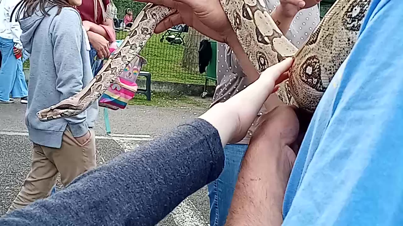 Passando a mao na cobra