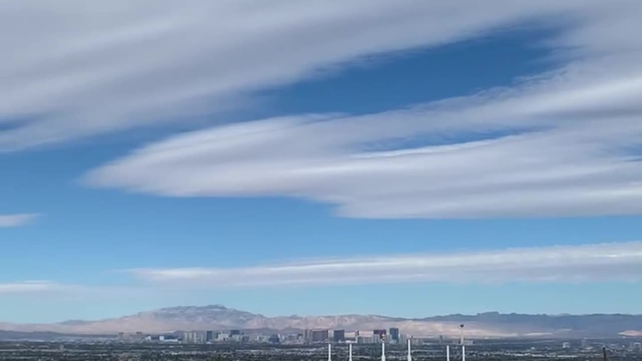 Large bird soaring over the Las Vegas skyline.