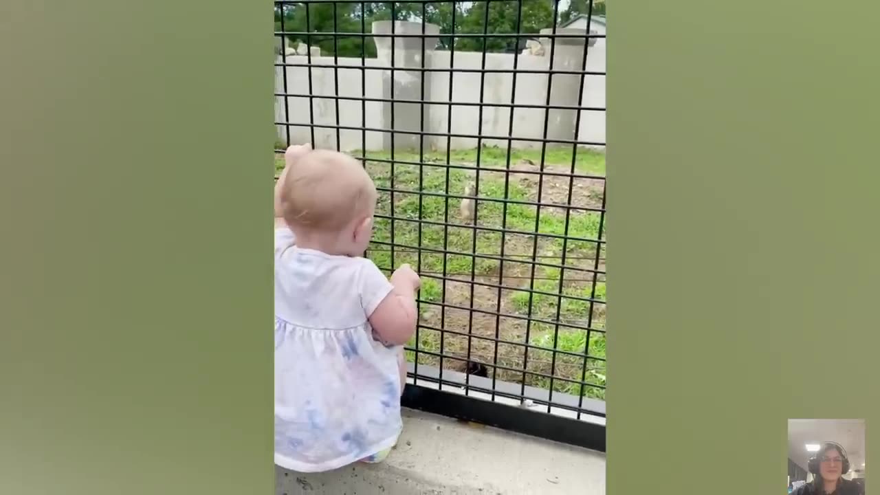 Funny Baby Meet Animals For The First Time