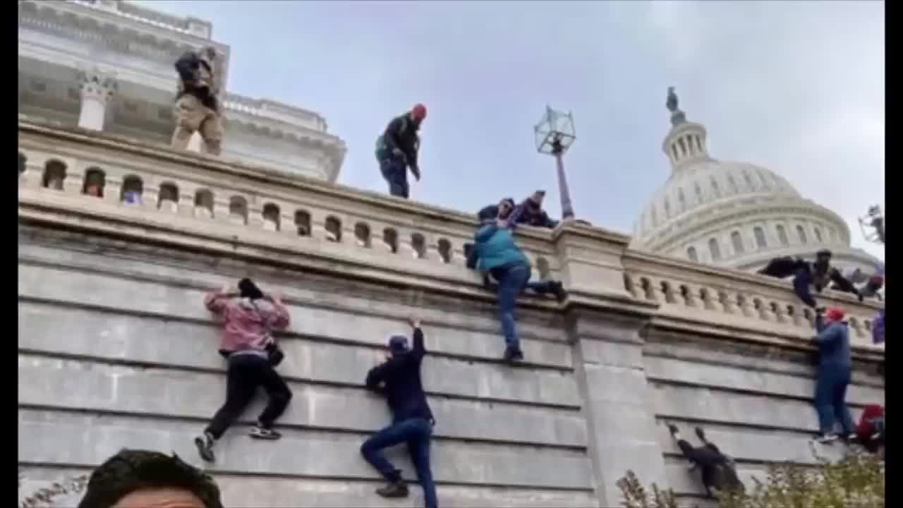 The Nobility World Wars