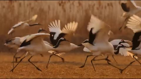 The beauty of nature