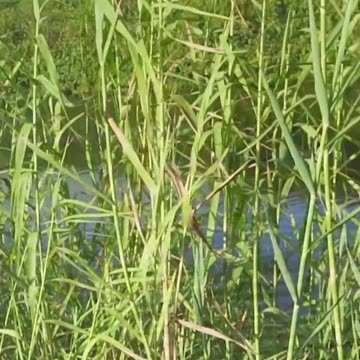 I CAN'T BELIEVE THIS HAPPENED 😮