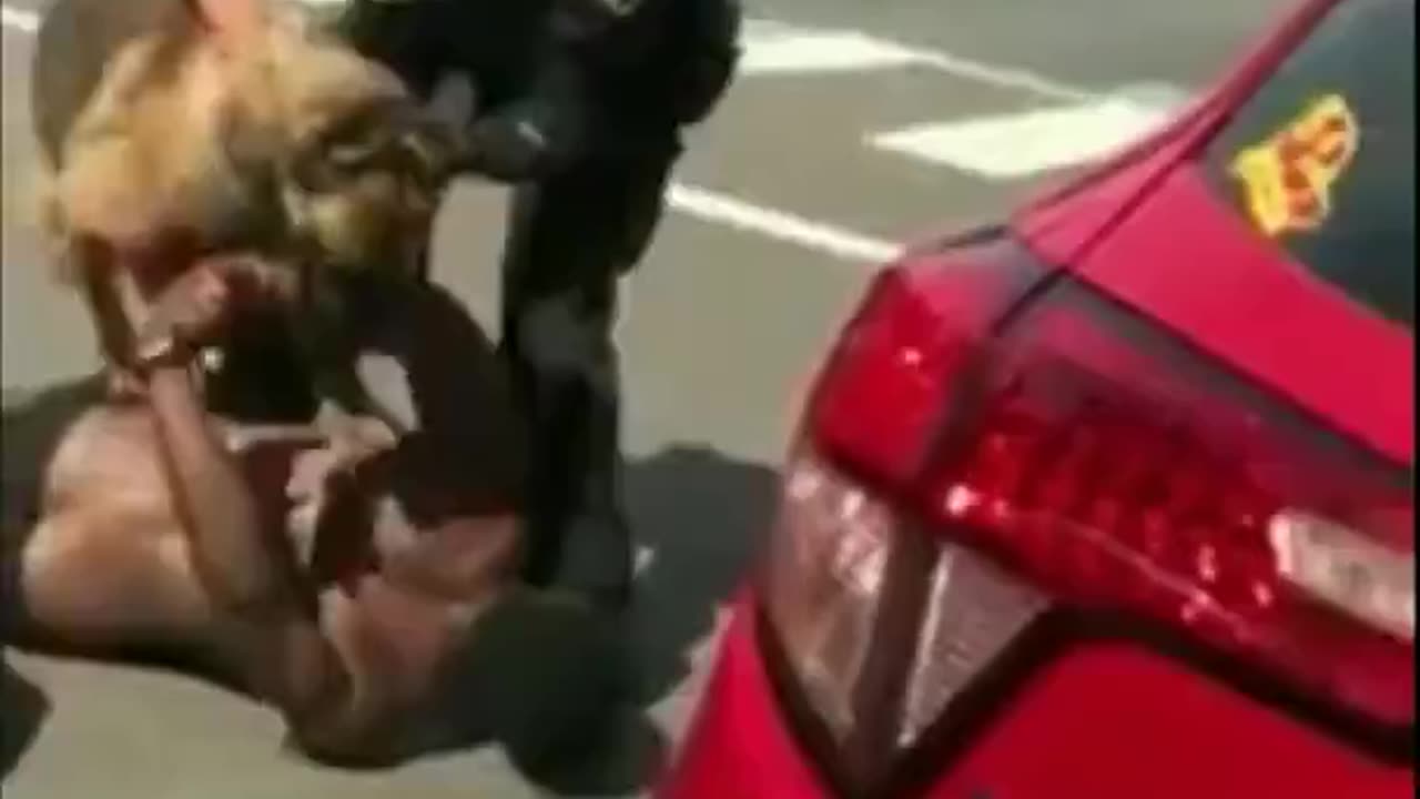 Police Dog Won't Let Go