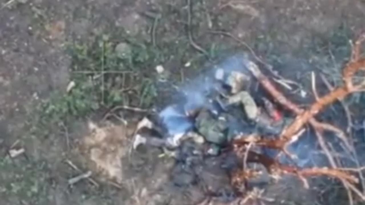 Insane Detonation
