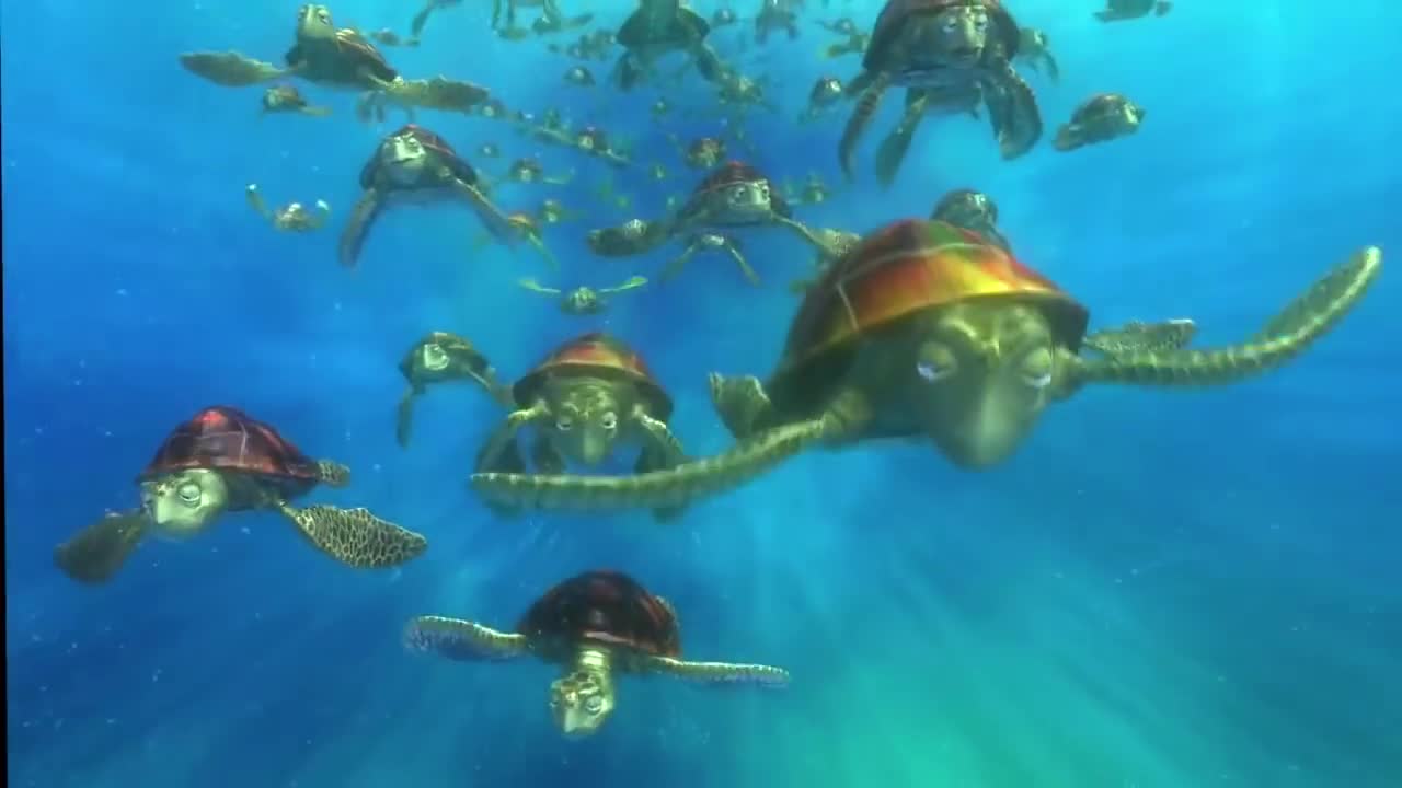 Finding Nemo- Turtle Scene