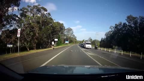 Kind Person Escorts Ducklings Across Street